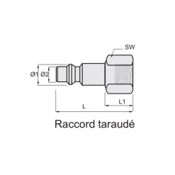 Embout Pour Flexible Fileté Femelle Embout Raccord Rapide Air Comprimé 1/4 Femelle Ø 5,5 Mm Lacmé 360400
